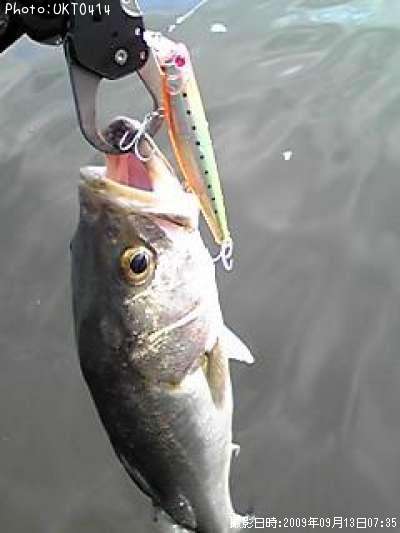 �����Х�