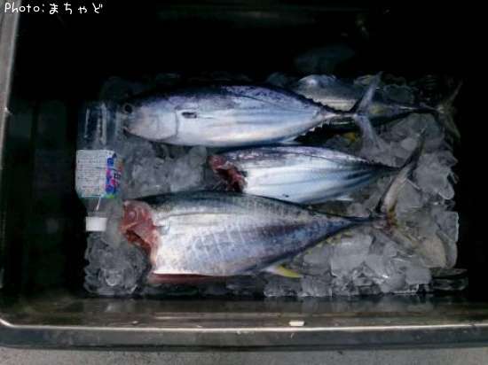 ����Хˡ��ڥ��ϥ��ޥ�����