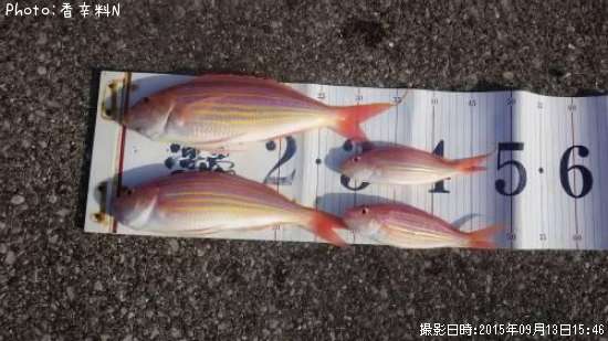 ���ȥ�����