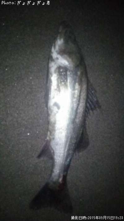 �����Х�