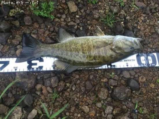 �֥�å��Х�