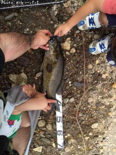 �֥�å��Х�