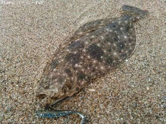 �ҥ��ʥ�����