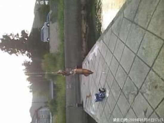 �����ꥤ��