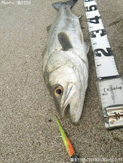 �����Х�