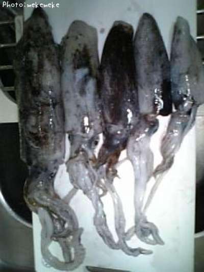 �����ꥤ��