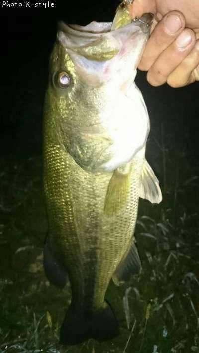 �֥�å��Х���