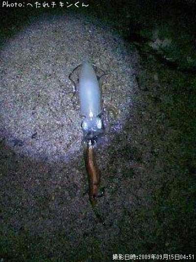 �����ꥤ��