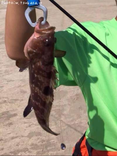 �����ϥ�