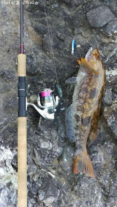 �����ʥ�