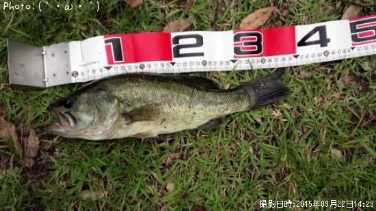 �֥�å��Х�