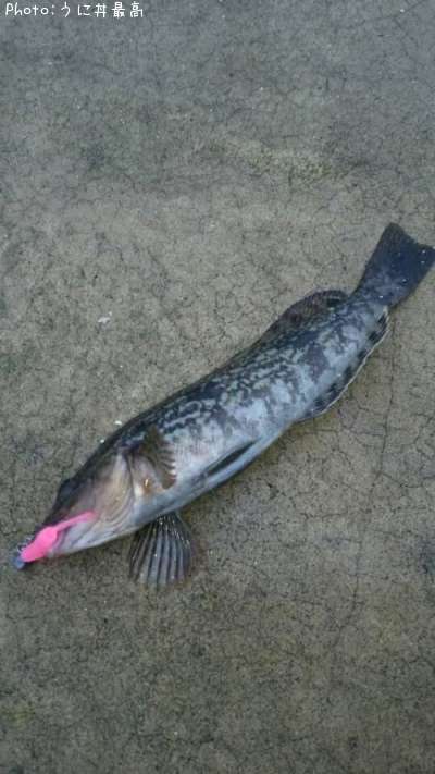 �����ʥ�