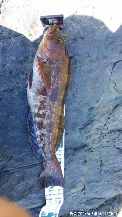 �����ʥ�