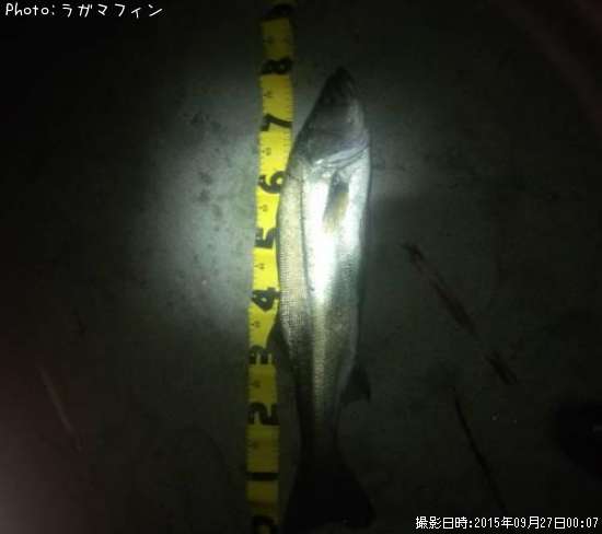 �����Х�