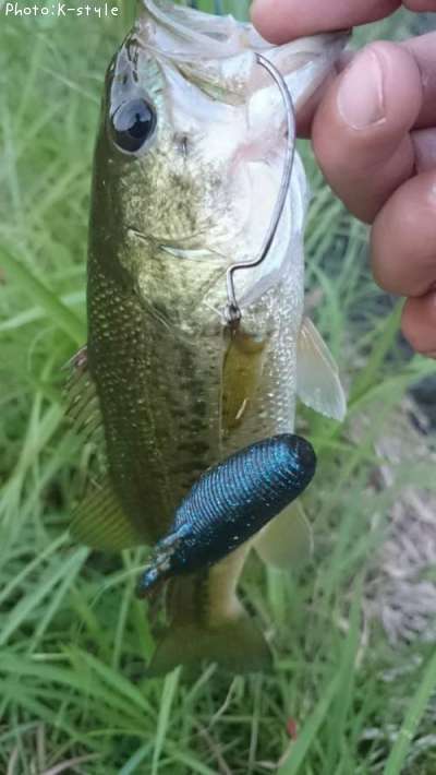 �֥�å��Х���