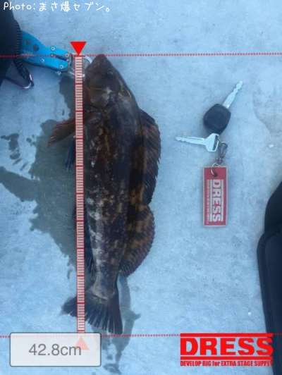 �����ʥ�