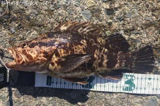 �����Υ���Х�