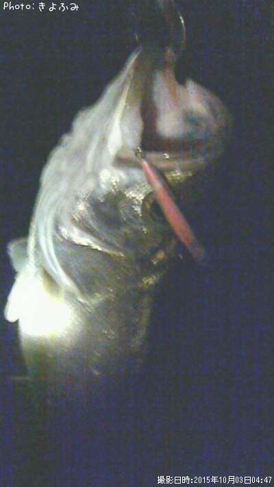 �����Х�