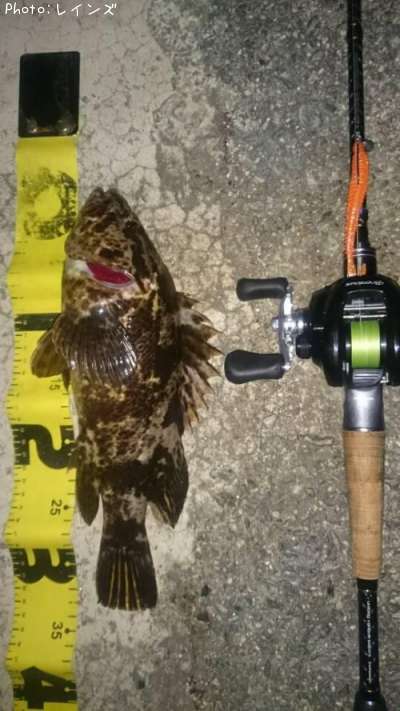 �����Υ���Х�