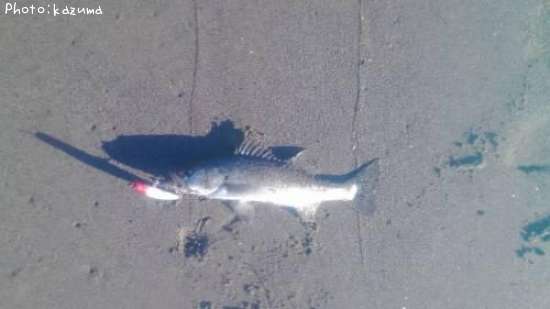 �����Х�