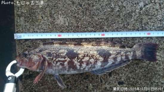 �����ʥ�