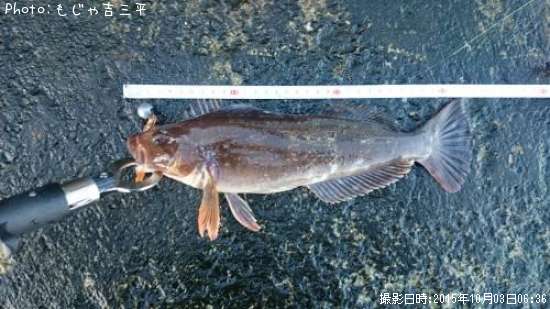 �����ʥ�