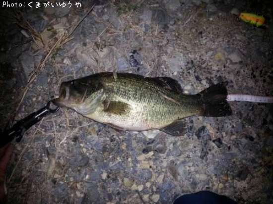 �顼���ޥ���