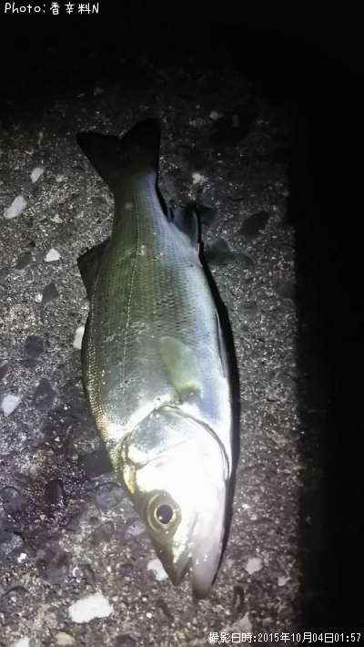 �ҥ饻����