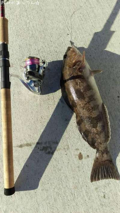 �����ʥ�