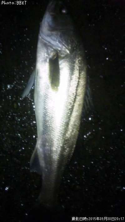 �����Х�