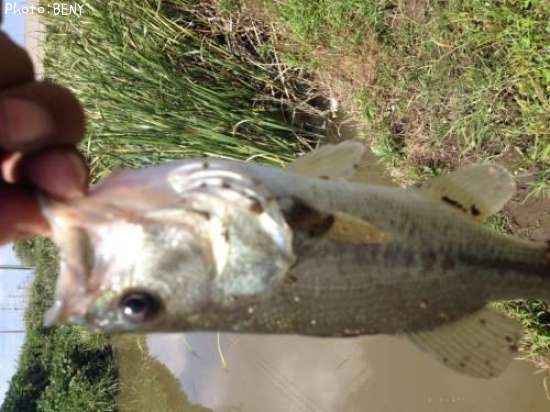 �֥�å��Х�