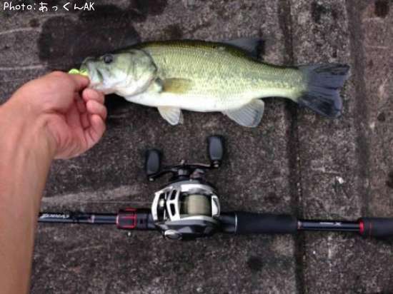 �֥�å��Х�