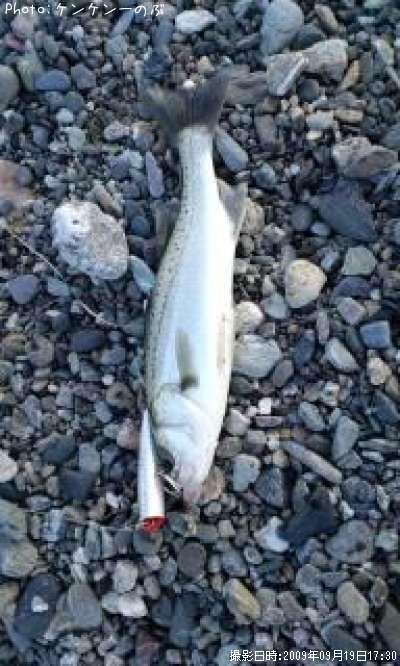 �����Х�