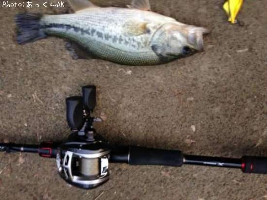 �֥�å��Х�