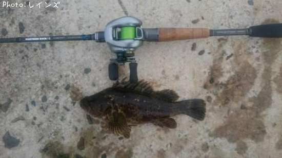 �����Υ���Х�