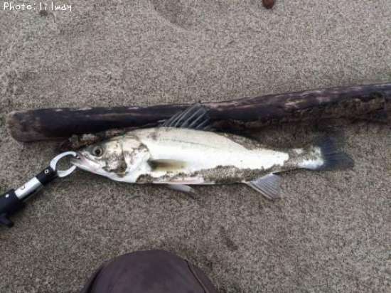 �����Х�