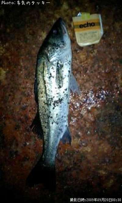 �����Х�