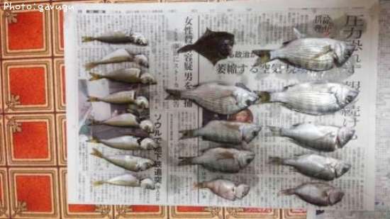 ���������������쥤