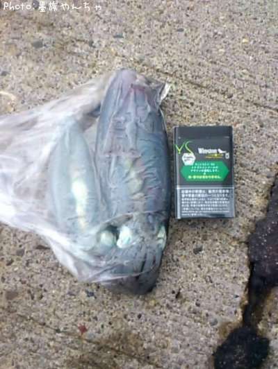 �����ꥤ��