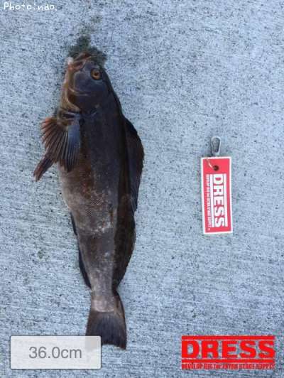 �����ʥ�