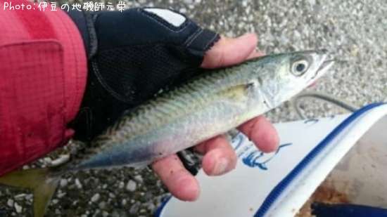 ���ޥ���