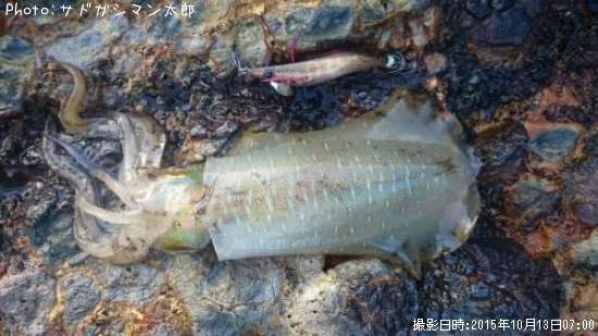 �����ꥤ��