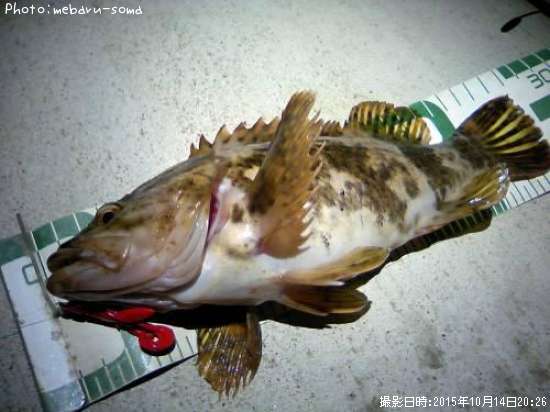 �����Υ���Х�