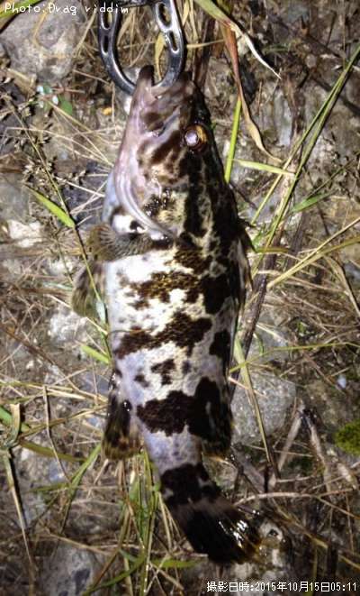 �����Υ���Х�