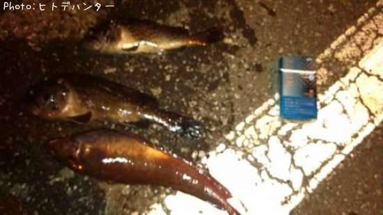 ��������