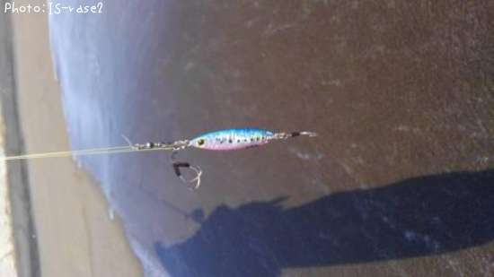 �ڣ���ڡ����������֥�åɥ��㥹�ȥ磻��