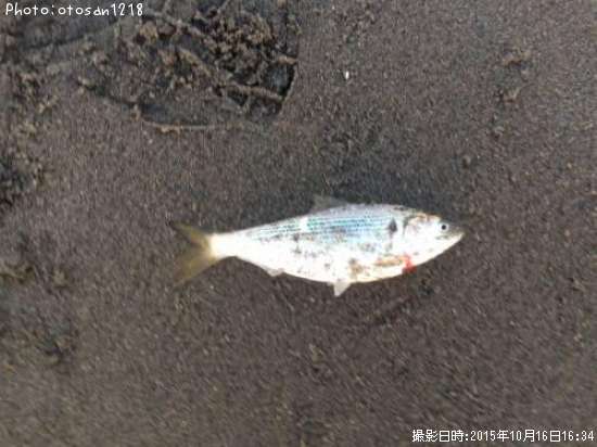 ���Υ���