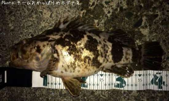 �����Υ���Х�