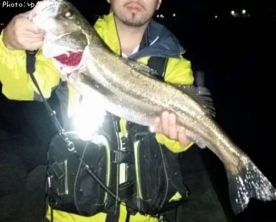 �����Х�