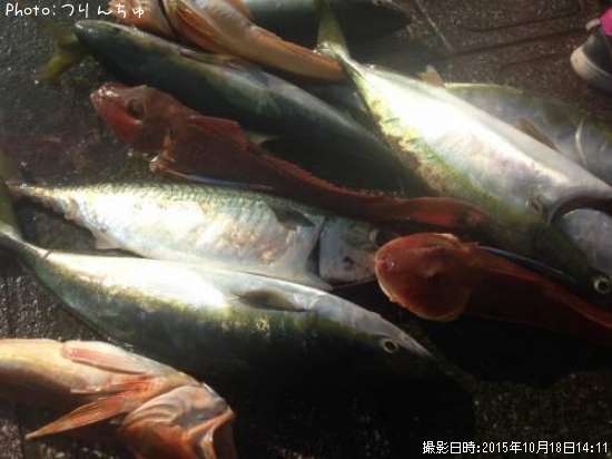 ���ʥ��ȥۥ��ܥ��ȥ���